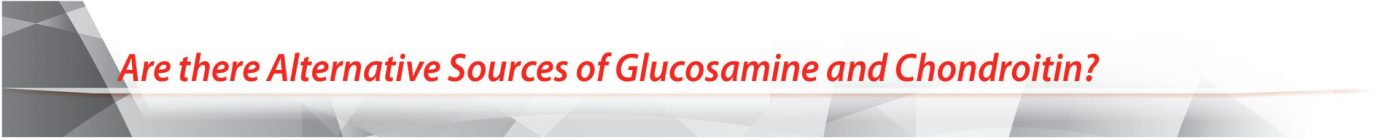 Kirkland Signature Glucosamine 1500mg And Chondroitin 1200mg